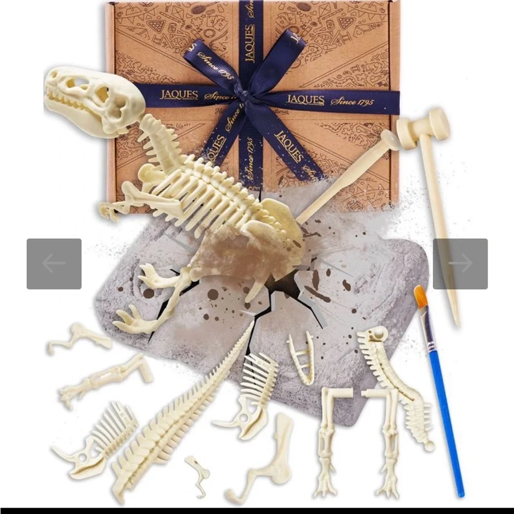 Dinosaur Fossil Excavation Kit